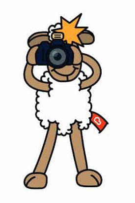 Start een actie en krijg een Buddy Droomdagschaap