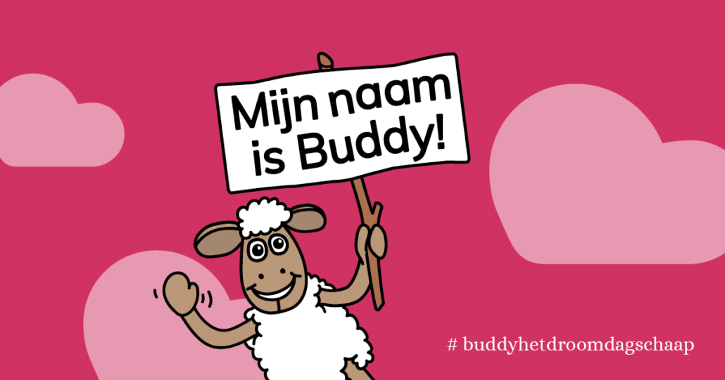 Ons Droomdagschaap heet Buddy
